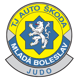 LOGA TJ Auto Skoda komplet-11